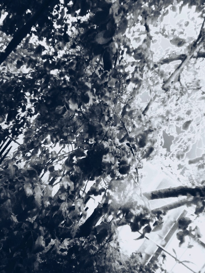 блики