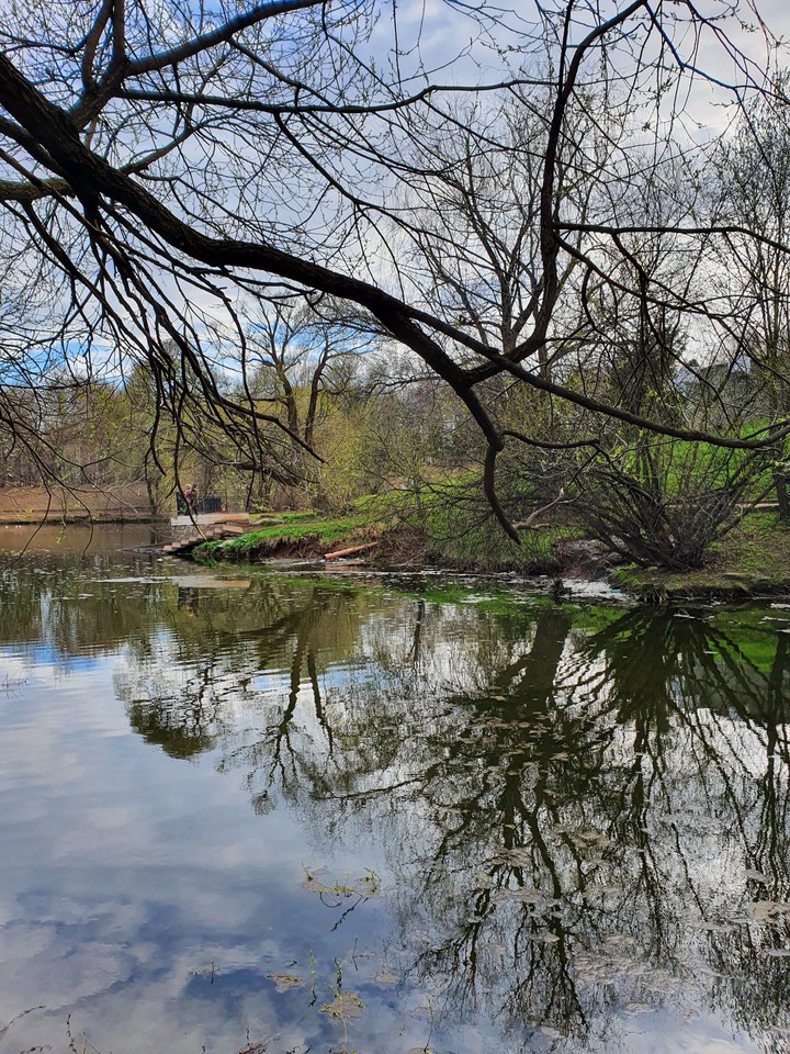 spring