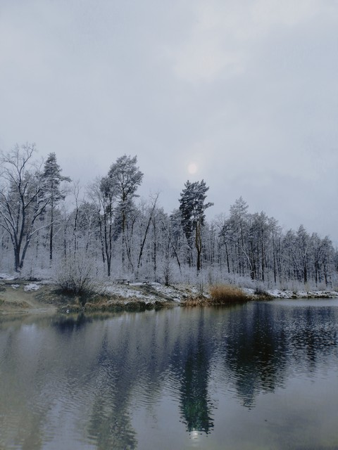 Spring!)