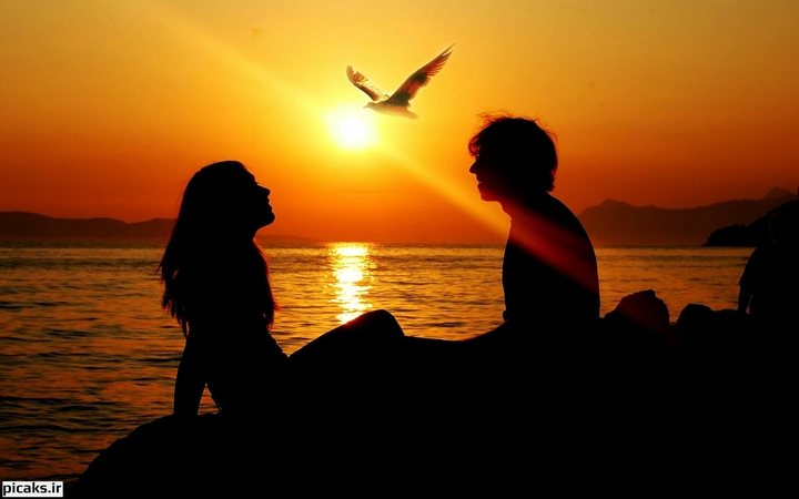 love
