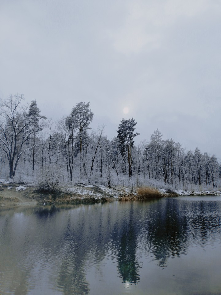Spring!)