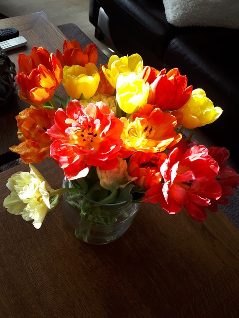 Colourful flowers