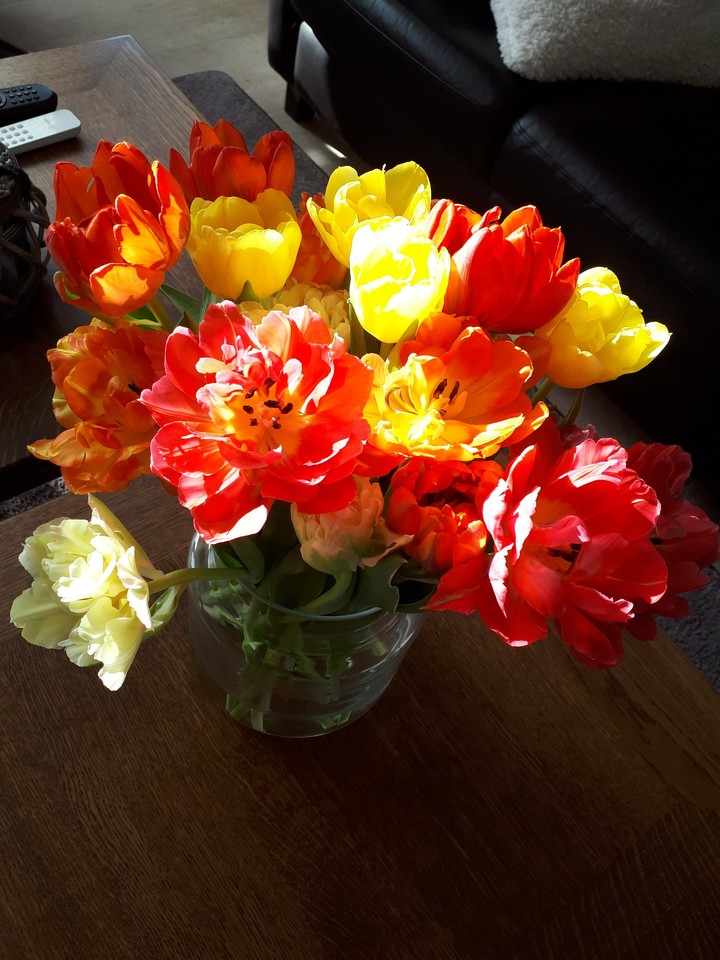Colourful flowers