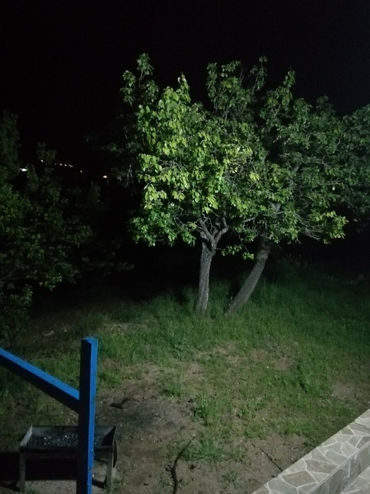Ağaç