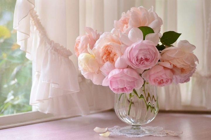 Flovers