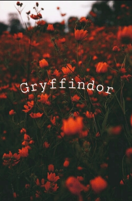 Gryffindor 