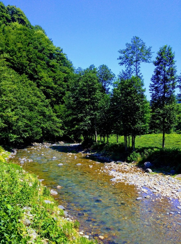 stream landscape