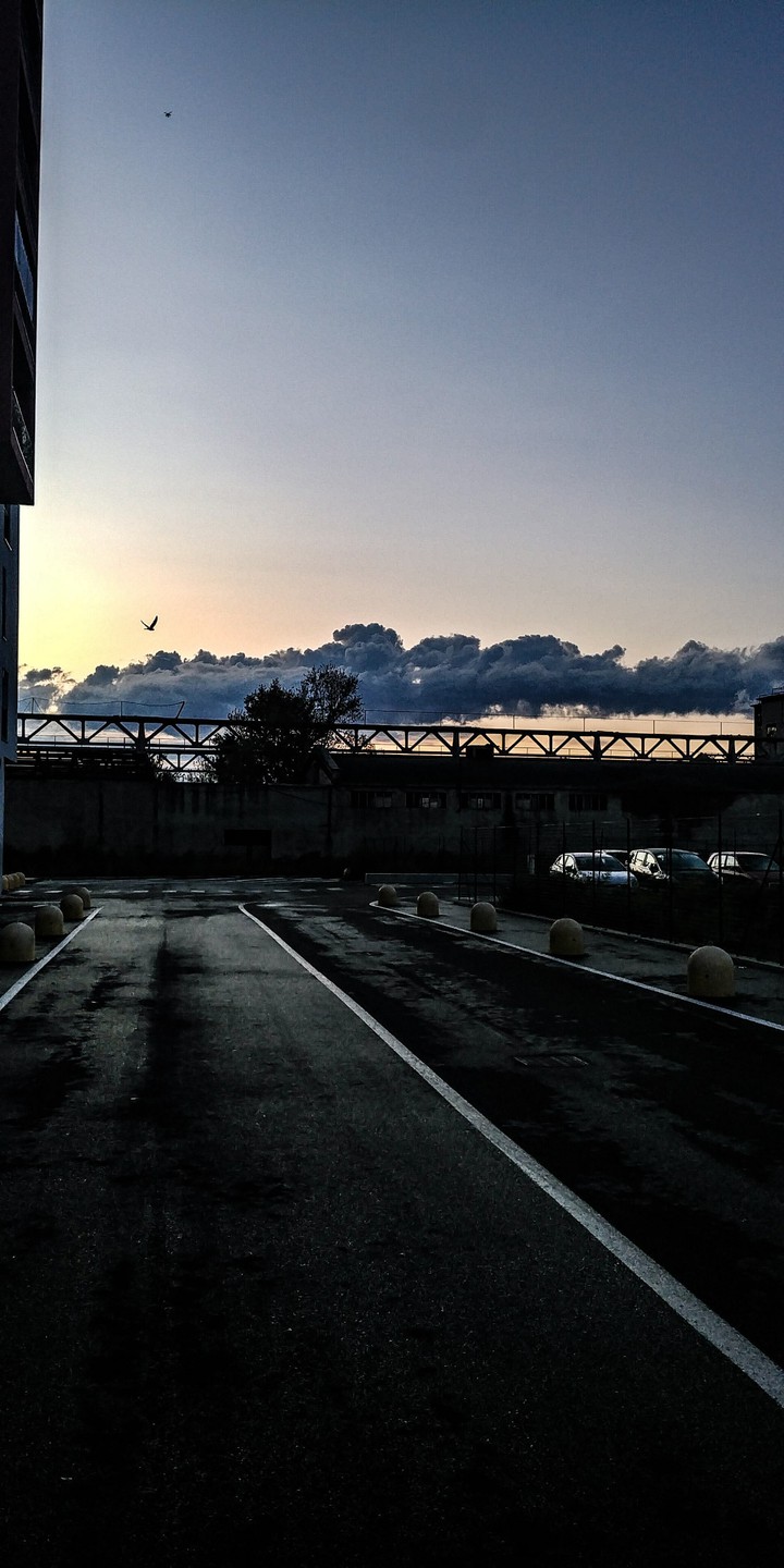 early morning