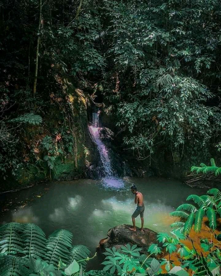 nature photography ❤?