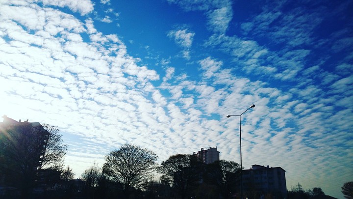 Ankara