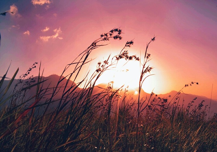 evening