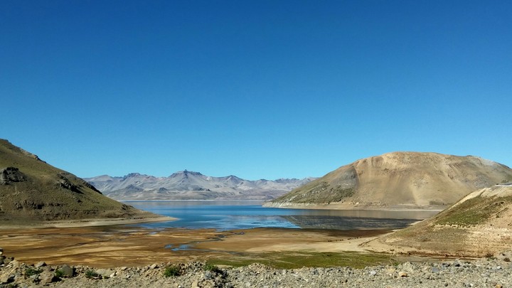 paso pehuenche