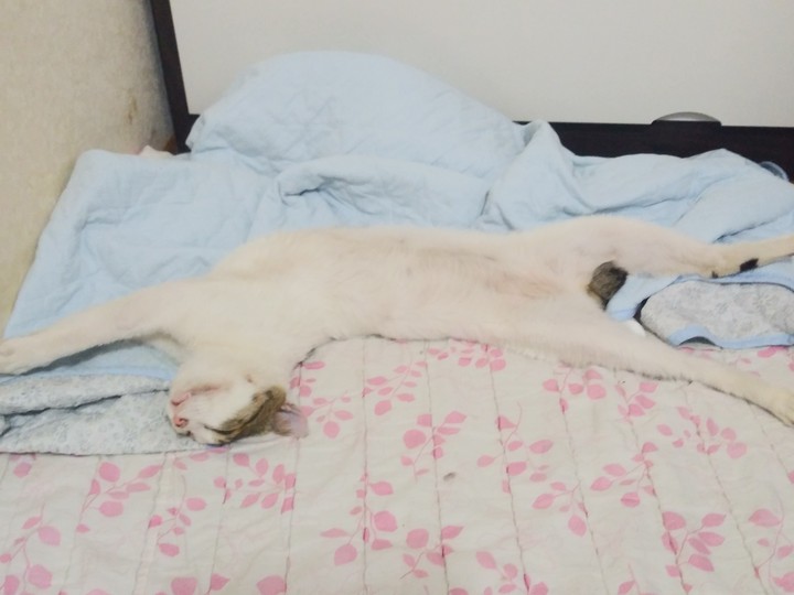 흐어