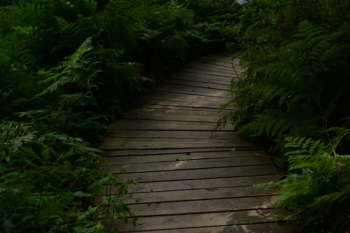 way