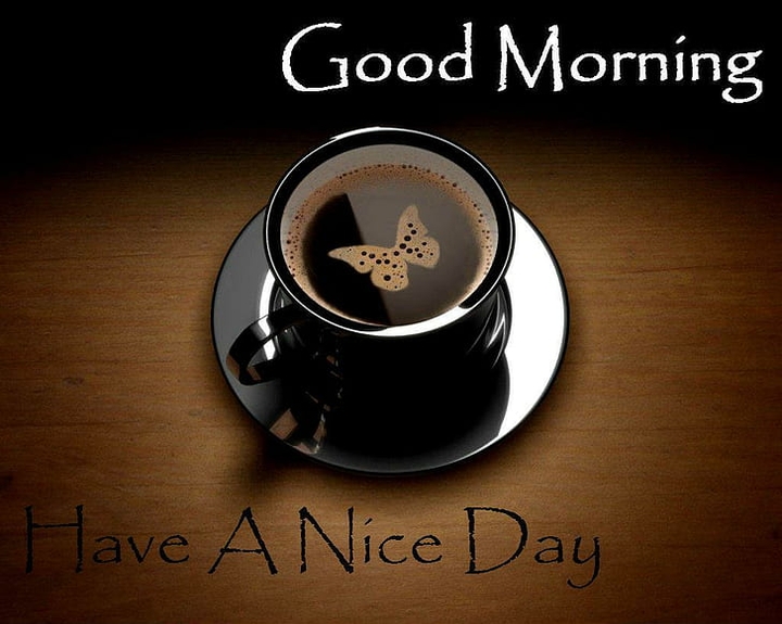 good morning