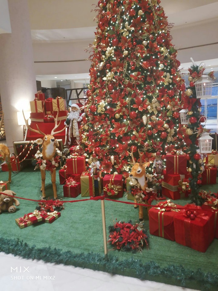 navidad