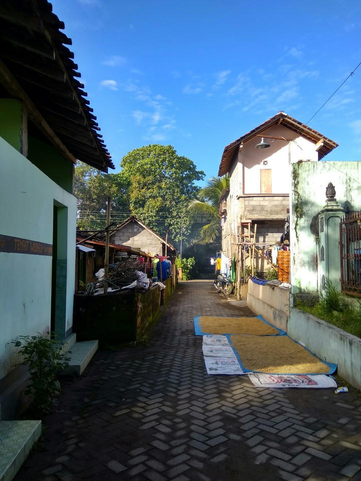 Vilage