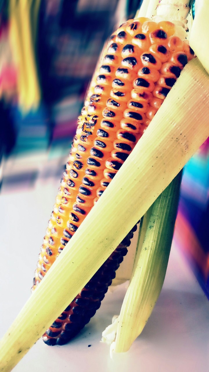 tasty corn 