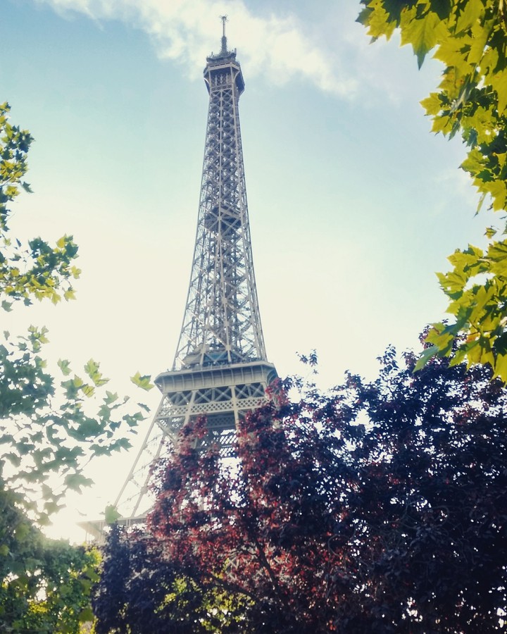 Effel tower Paris