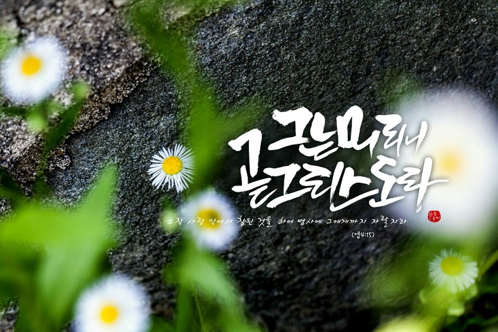 캘리그라피
