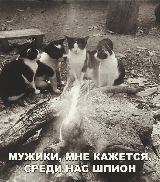 Что то здесь не так. Да?