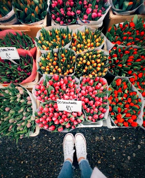 fruit, marketplace壁紙
