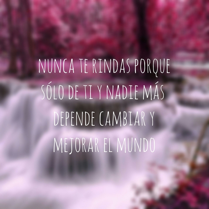 reflexiones