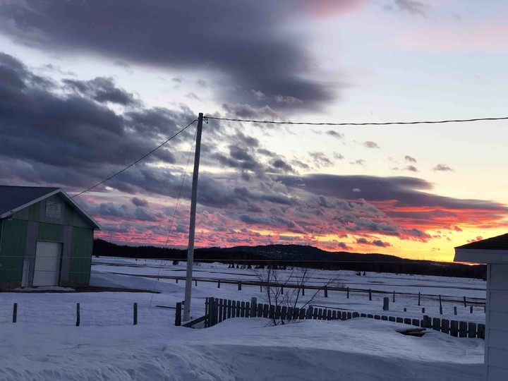 the colors of Winter