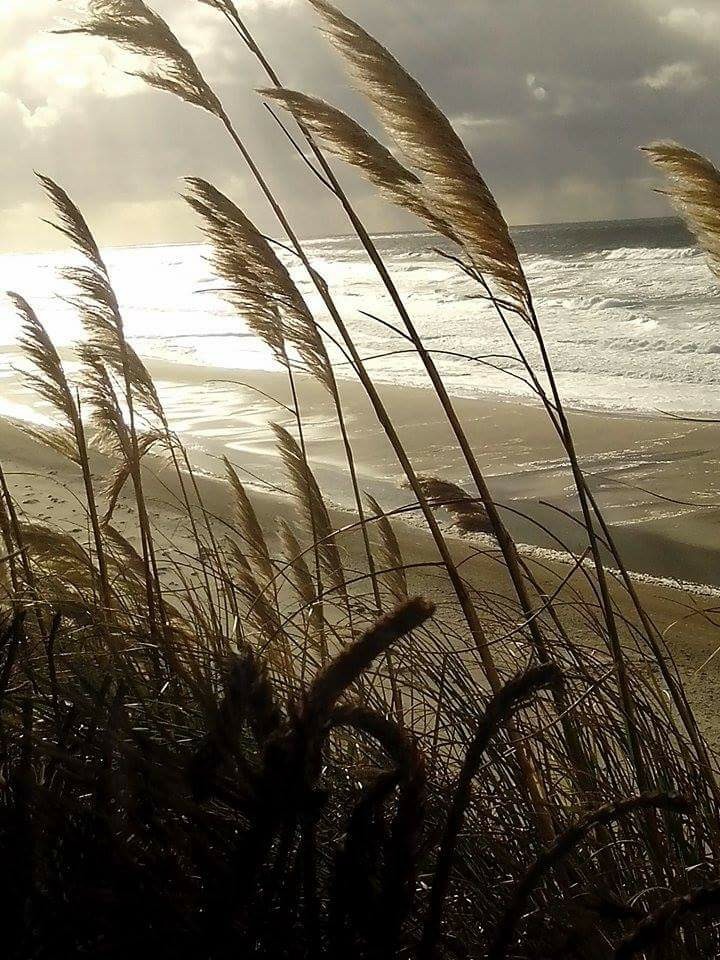 sea side