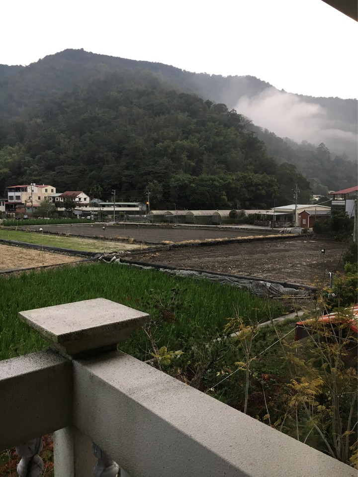 埔里