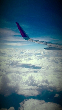 amazing