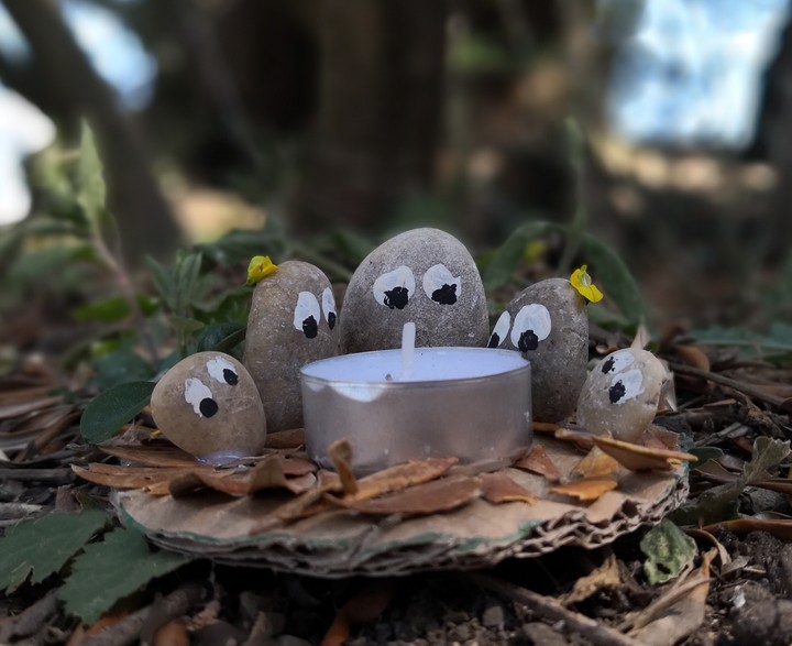 Life in the wood