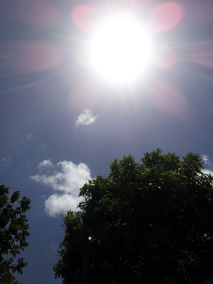 sunny days