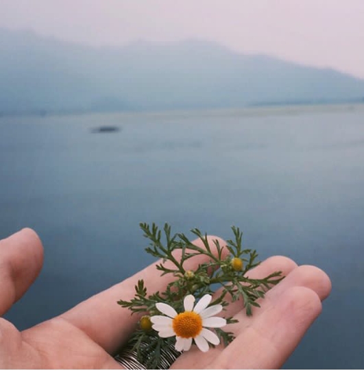 areeba's photography