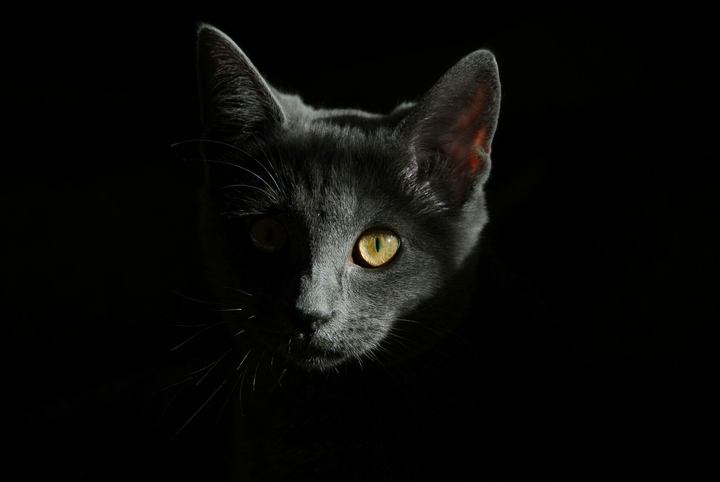 black cad