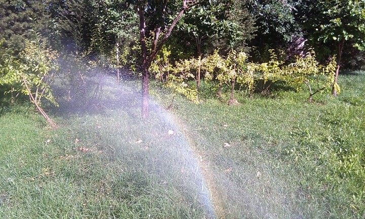 Rainbow