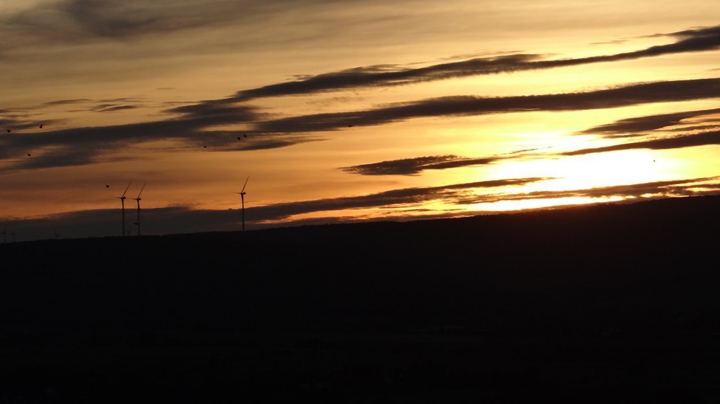 sunset pinwheel