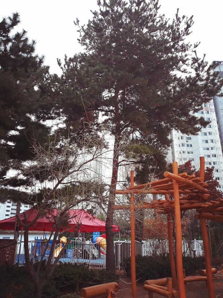 성래