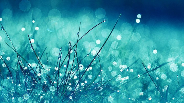 lovely sweet world