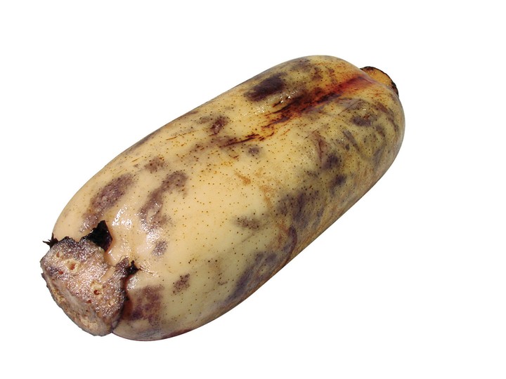 음식이미지