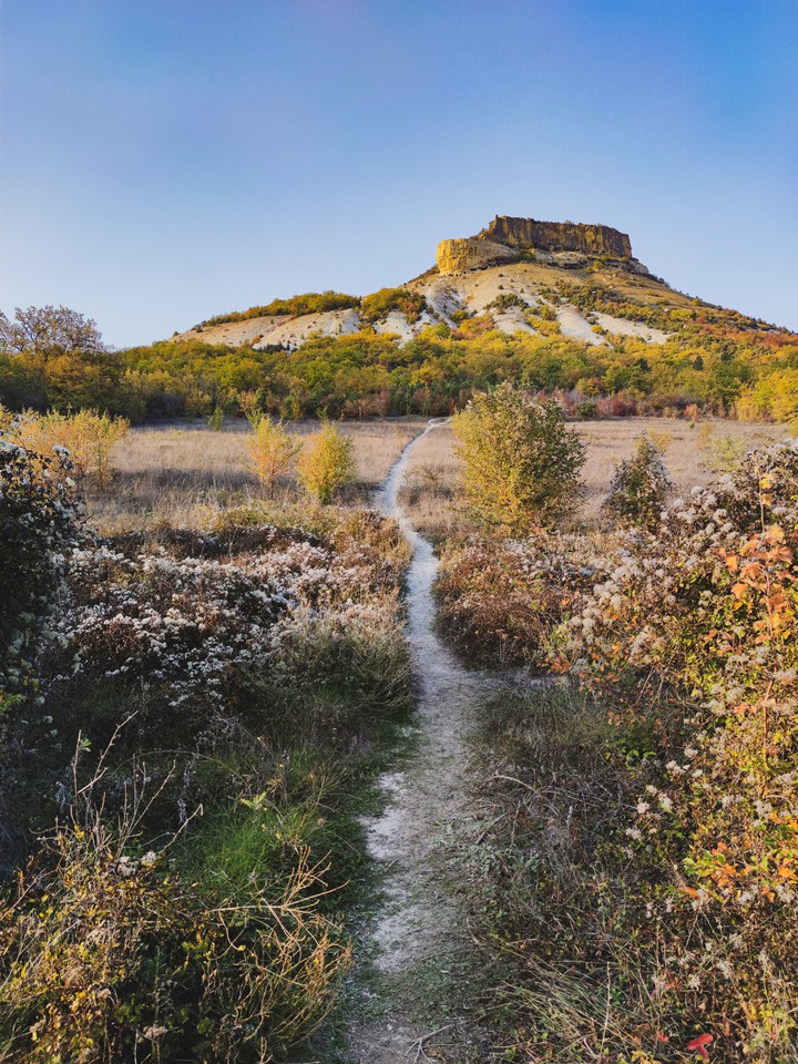 Mountain