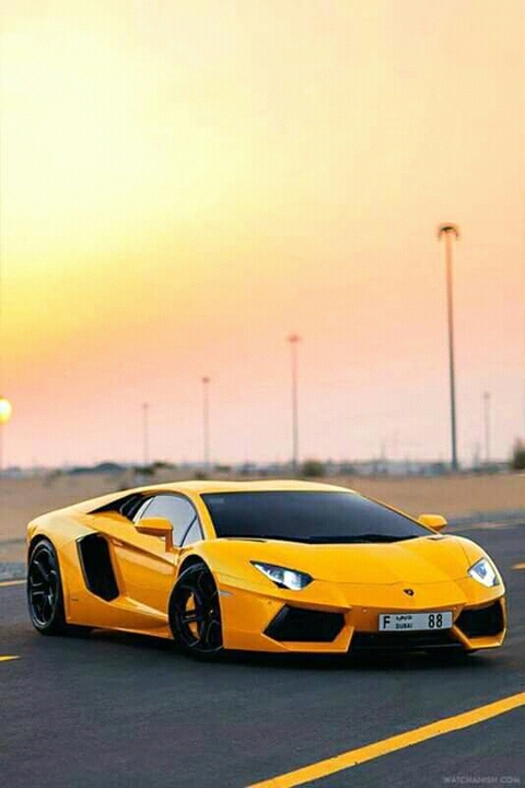 LAMBORGHINI