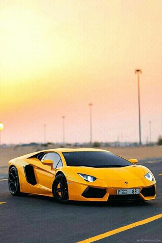 LAMBORGHINI