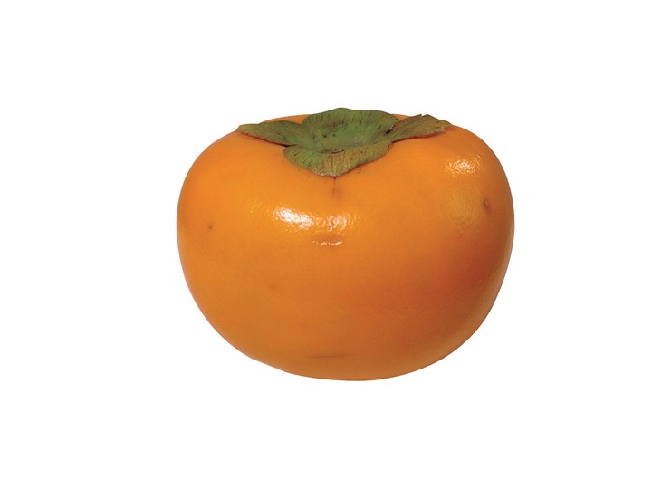 음식이미지