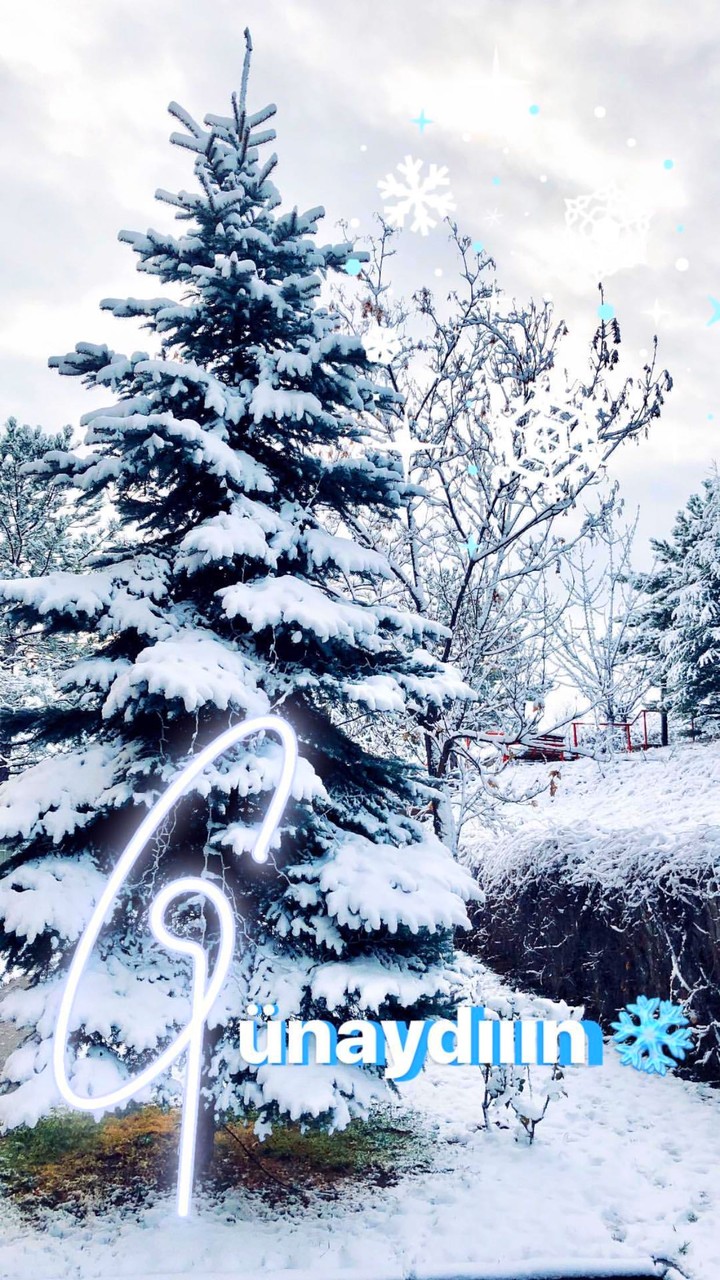 good morning snow