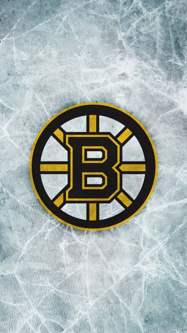 boston bruins