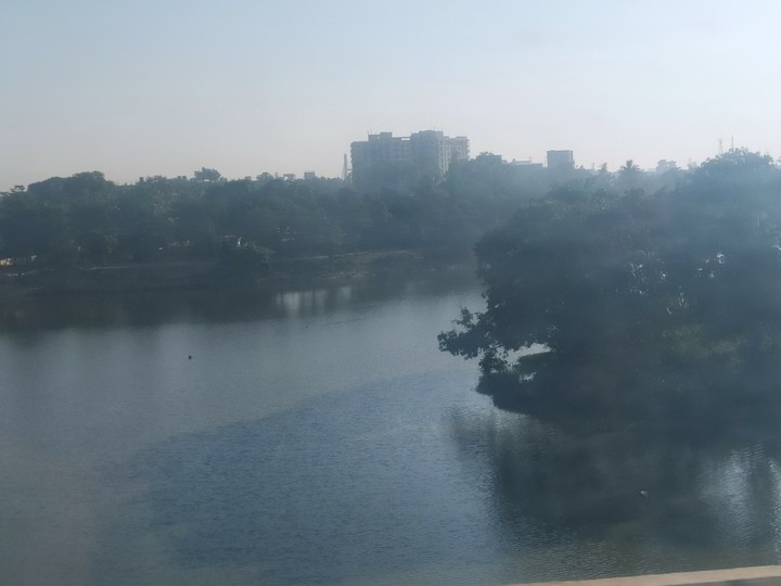 Through the window