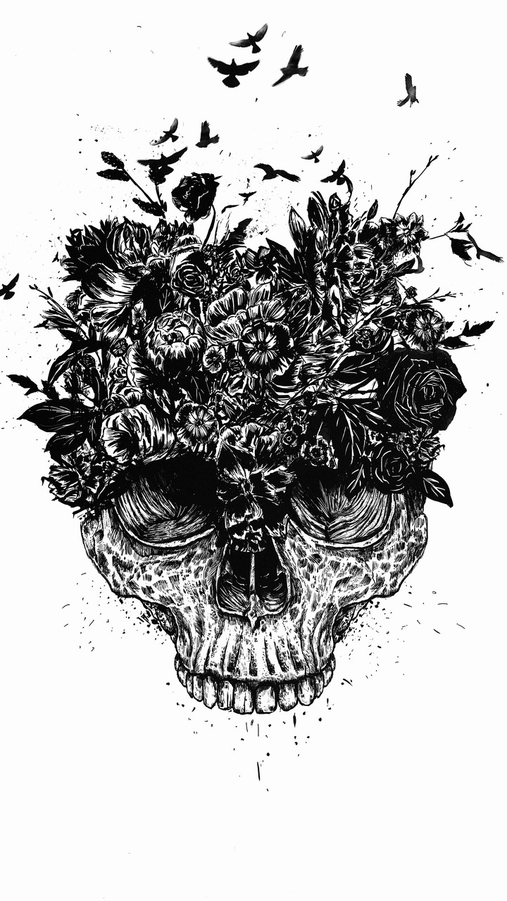 skeleton