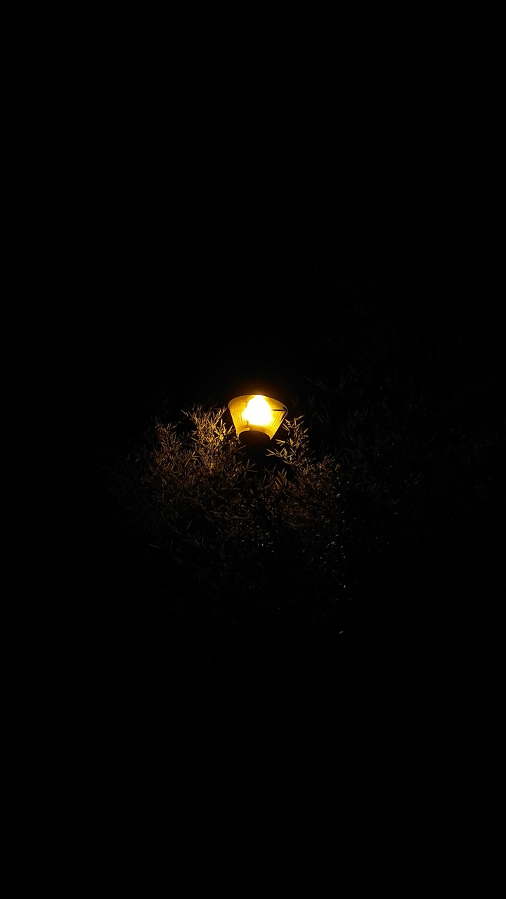 Light in the dark