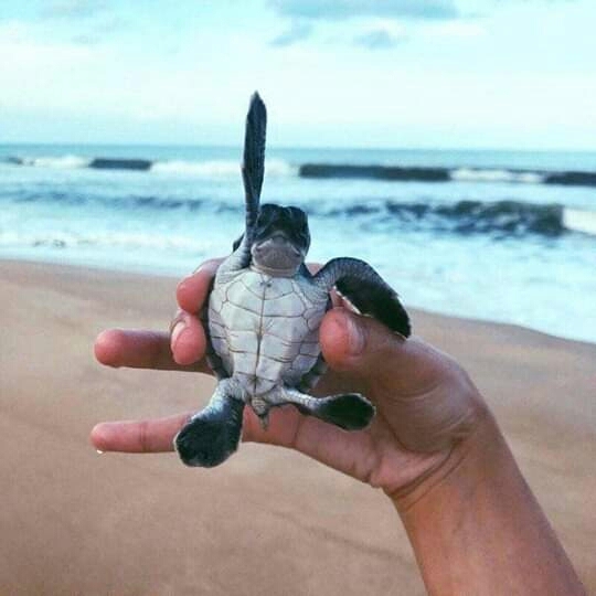 ❤